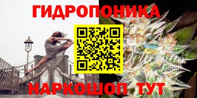 трава Бузулук