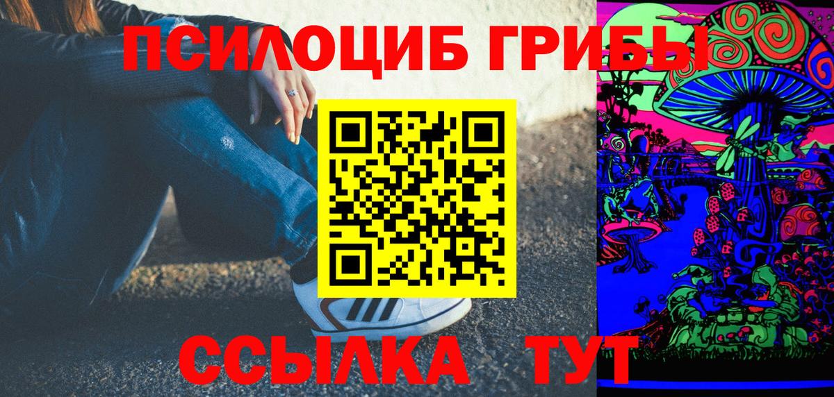 Щёкино  Галлюциногенные грибы мухоморы  где купить наркотик  Галлюциногенные грибы ЛСД  Вход с VPN 