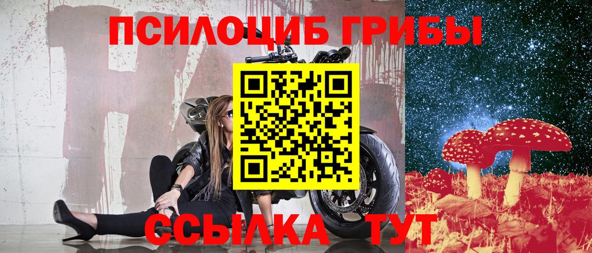 Галлюциногенные грибы GOLDEN TEACHER Щёкино