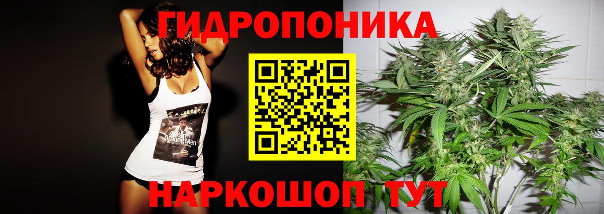 Марихуана индика Щёкино